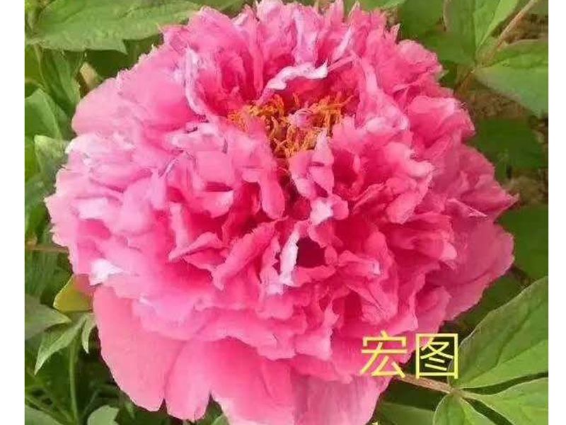 戳我试试